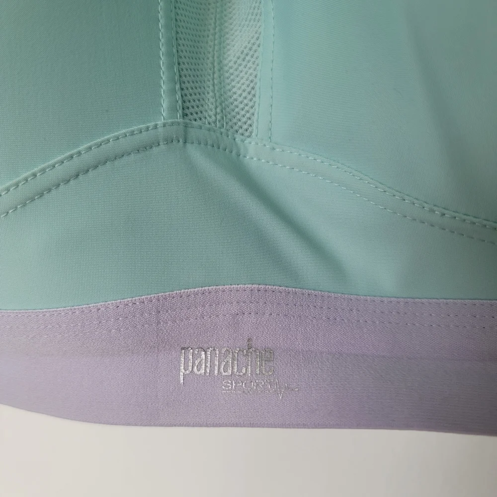 Panache Aqua and Lavender Sports Bra Size 40